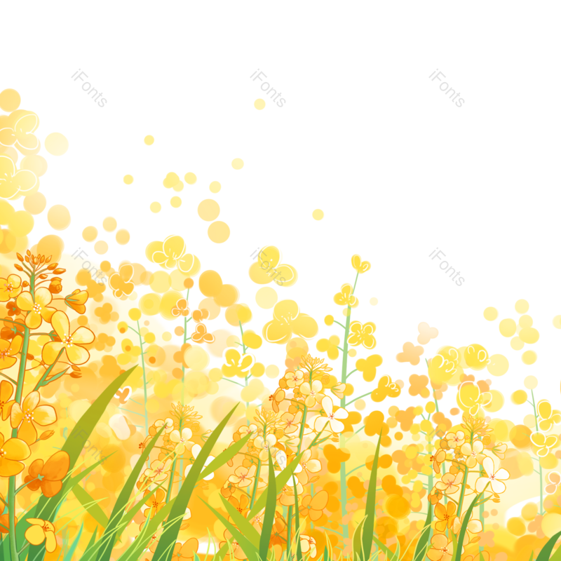 花朵素材图片,植物素材元素,花瓣PNG,春天元素免抠素材